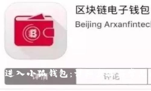 如何重新进入小狐钱包：详细步骤与常见问题解答