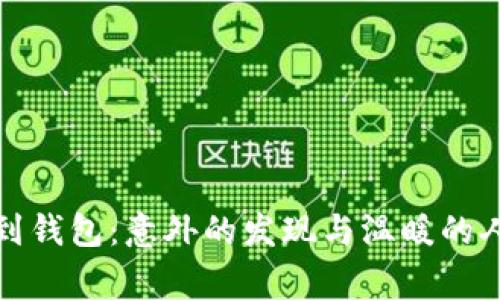 小狐捡到钱包：意外的发现与温暖的人性故事