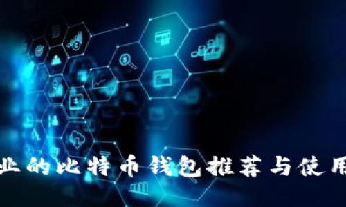 最专业的比特币钱包推荐与使用指南