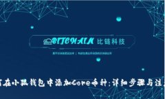 : 如何在小狐钱包中添加