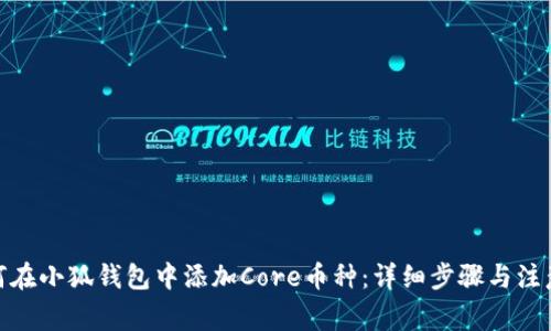 : 如何在小狐钱包中添加Core币种：详细步骤与注意事项