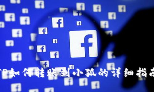 TP如何转账到小狐的详细指南